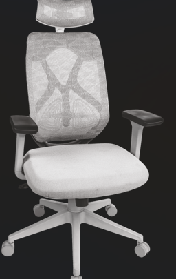 ELVORA Regale Executive premium office chair Delhi luxury workspace
